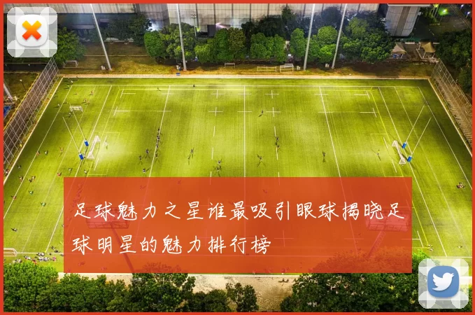 足球魅力之星谁最吸引眼球揭晓足球明星的魅力排行榜