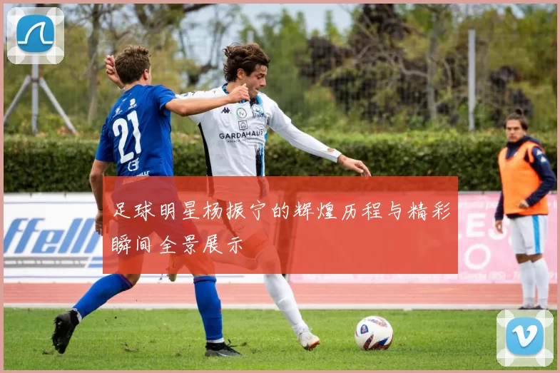 足球明星杨振宁的辉煌历程与精彩瞬间全景展示