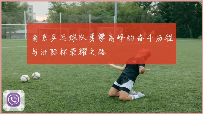 南京乒乓球队勇攀高峰的奋斗历程与洲际杯荣耀之路