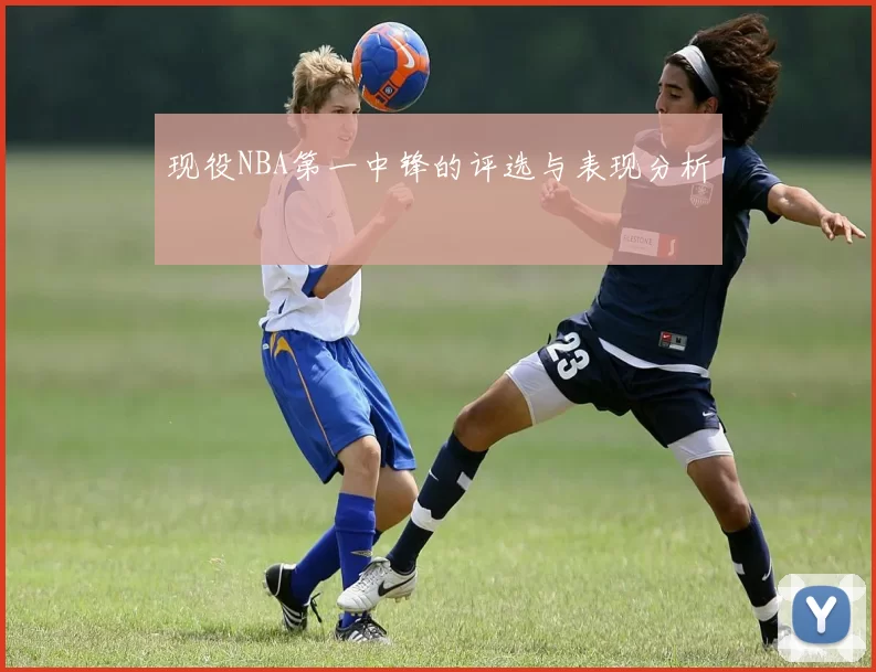 现役NBA第一中锋的评选与表现分析