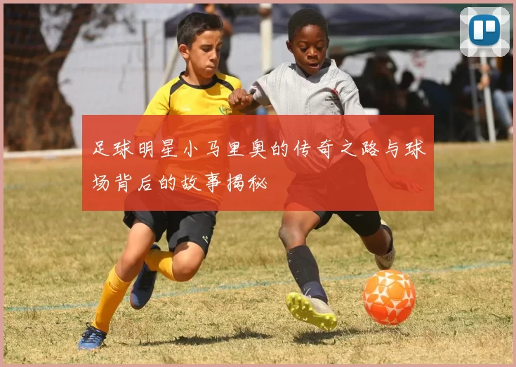 足球明星小马里奥的传奇之路与球场背后的故事揭秘