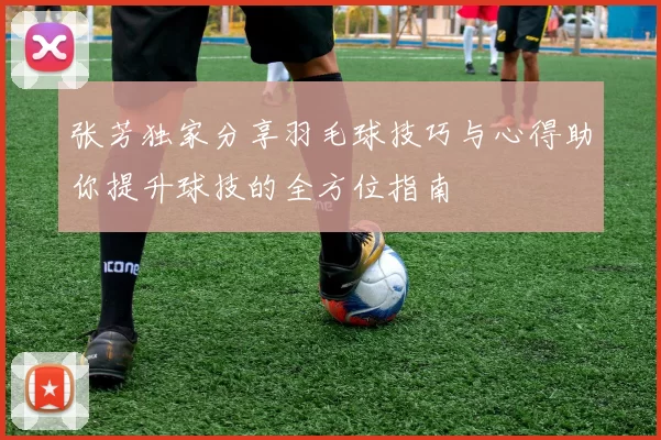 张芳独家分享羽毛球技巧与心得助你提升球技的全方位指南