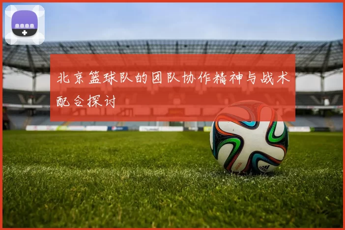 北京篮球队的团队协作精神与战术配合探讨