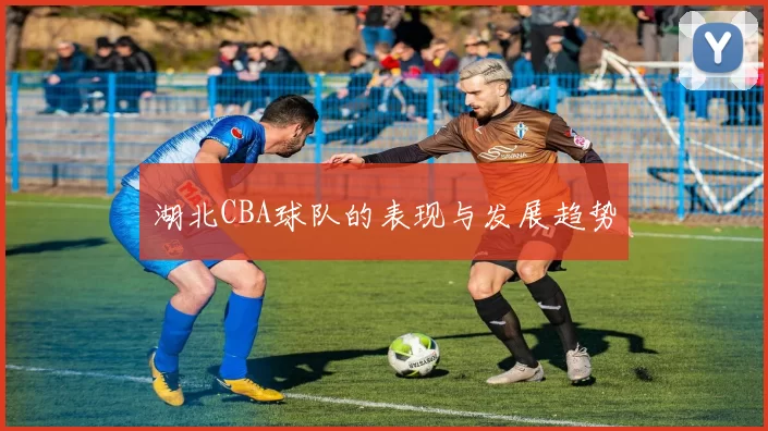 湖北CBA球队的表现与发展趋势