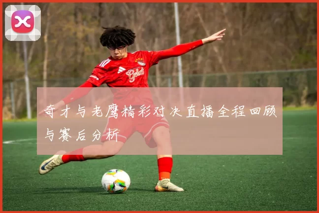 奇才与老鹰精彩对决直播全程回顾与赛后分析