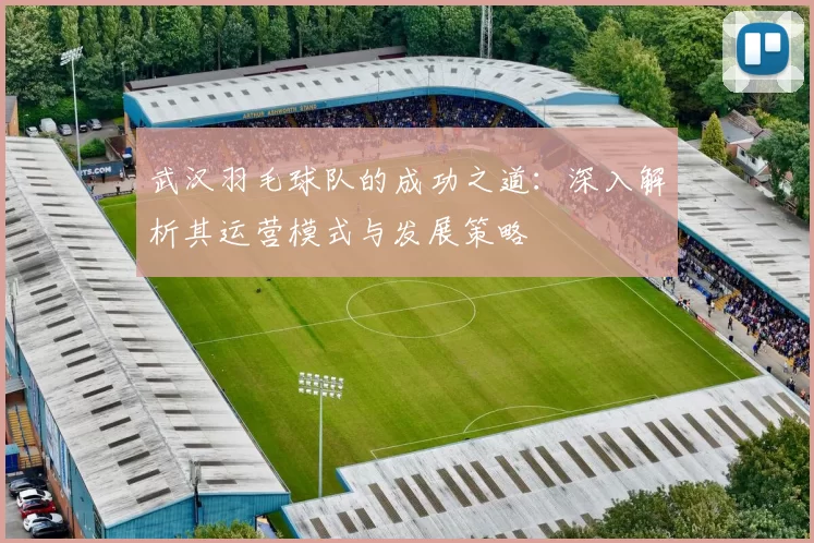 武汉羽毛球队的成功之道：深入解析其运营模式与发展策略