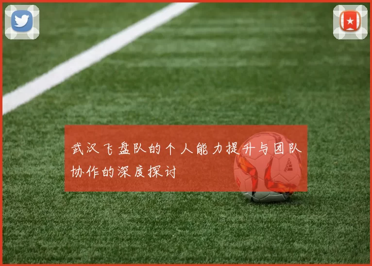 武汉飞盘队的个人能力提升与团队协作的深度探讨