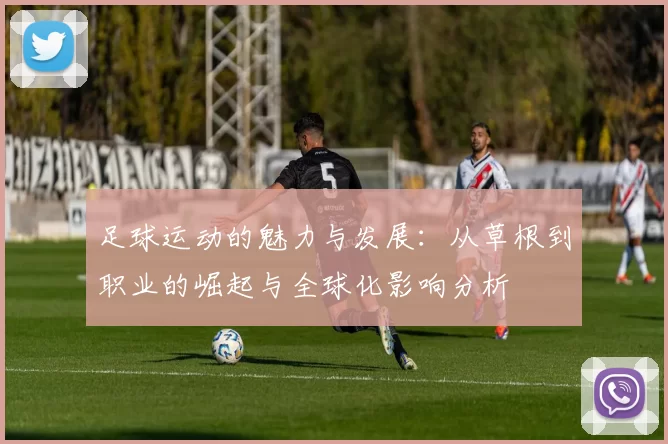 足球运动的魅力与发展：从草根到职业的崛起与全球化影响分析