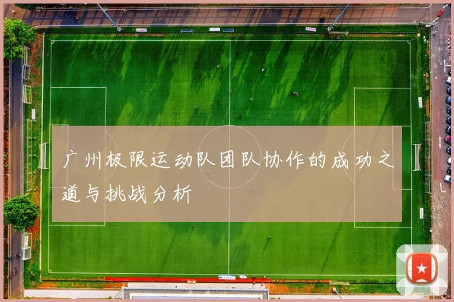 广州极限运动队团队协作的成功之道与挑战分析