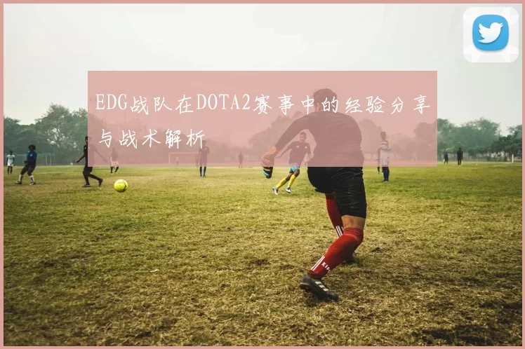 EDG战队在DOTA2赛事中的经验分享与战术解析