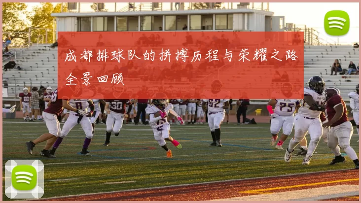 成都排球队的拼搏历程与荣耀之路全景回顾