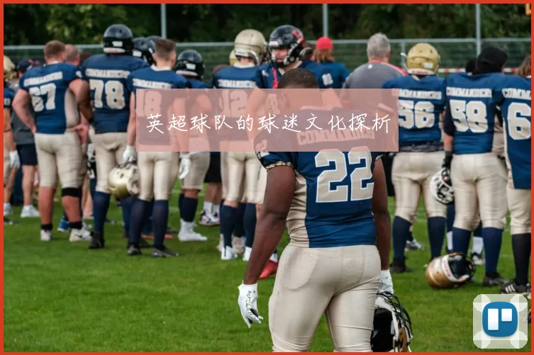 英超球队的球迷文化探析